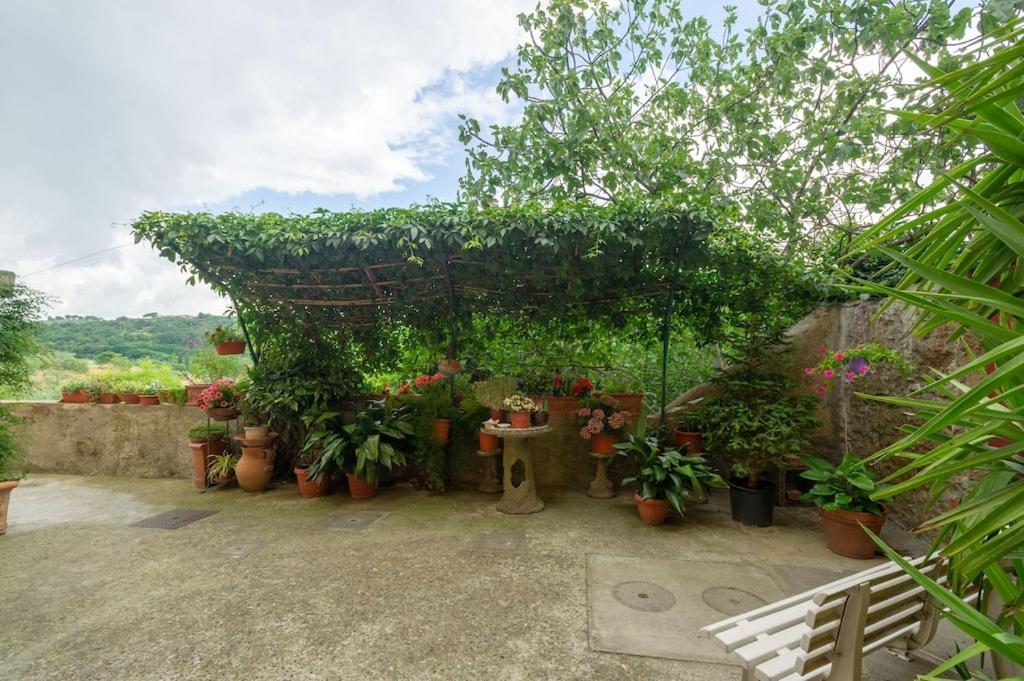La Residenza Dei Piaceri Perduti- Le Volte Apartamento Lastra a Signa Exterior foto